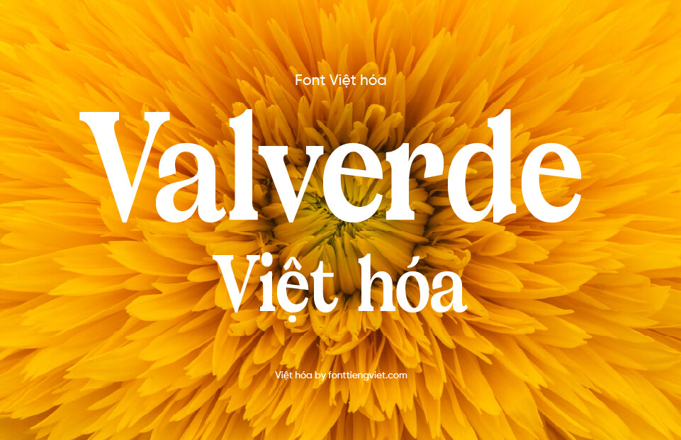 Font Việt hóa 1FTV VIP Valverde