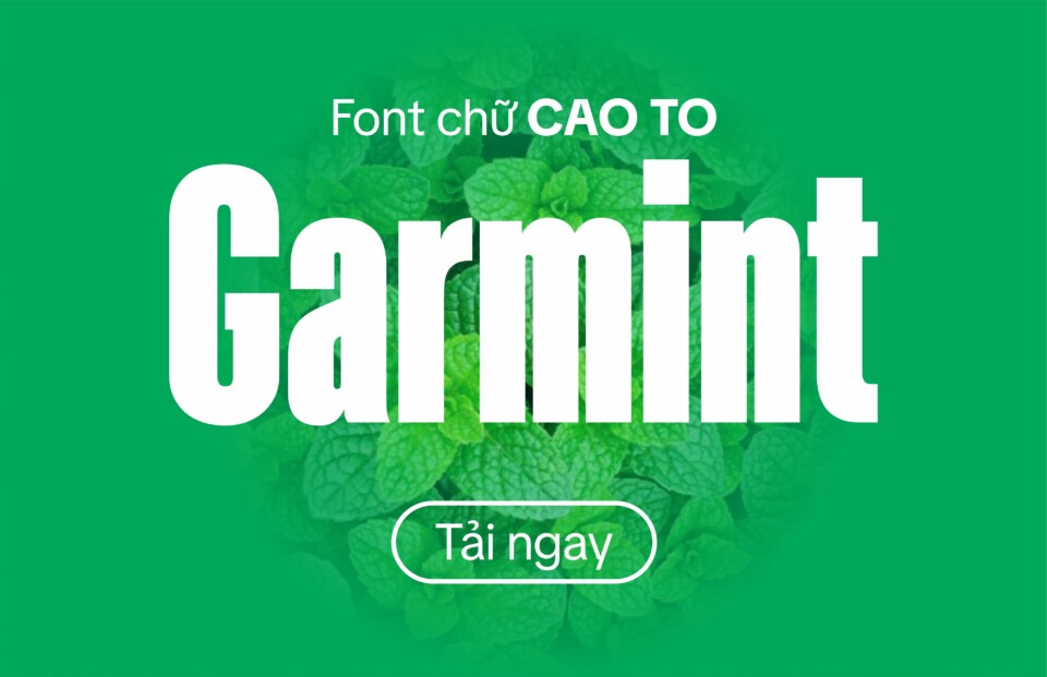 Font Việt hóa VN Garmint