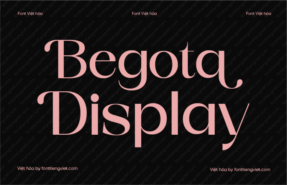 Font Việt hóa 1FTV VIP Begota Display Regular