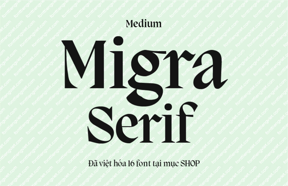 Font Việt hóa 1FTV VIP Migra Medium