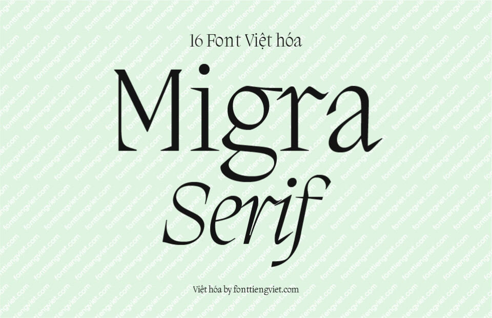 [Shop font] 16 Font Việt hóa 1FTV VIP Migra