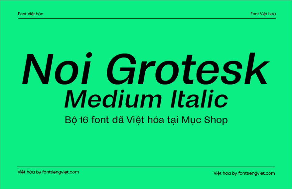 Font Việt hóa 1FTV VIP Noi Grotesk Flex Medium Italic