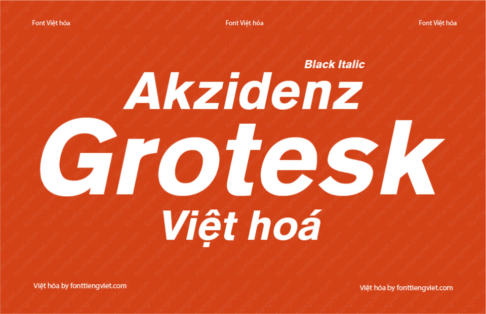 Font Việt hóa 1FTV VIP Akzidenz Grotesk Black Italic