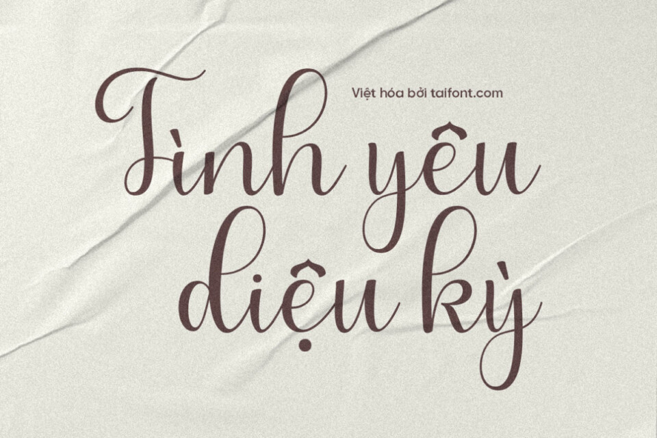 TF Wonderful Script Việt hóa: Font Chữ Ký Đa Dạng và Tinh Tế